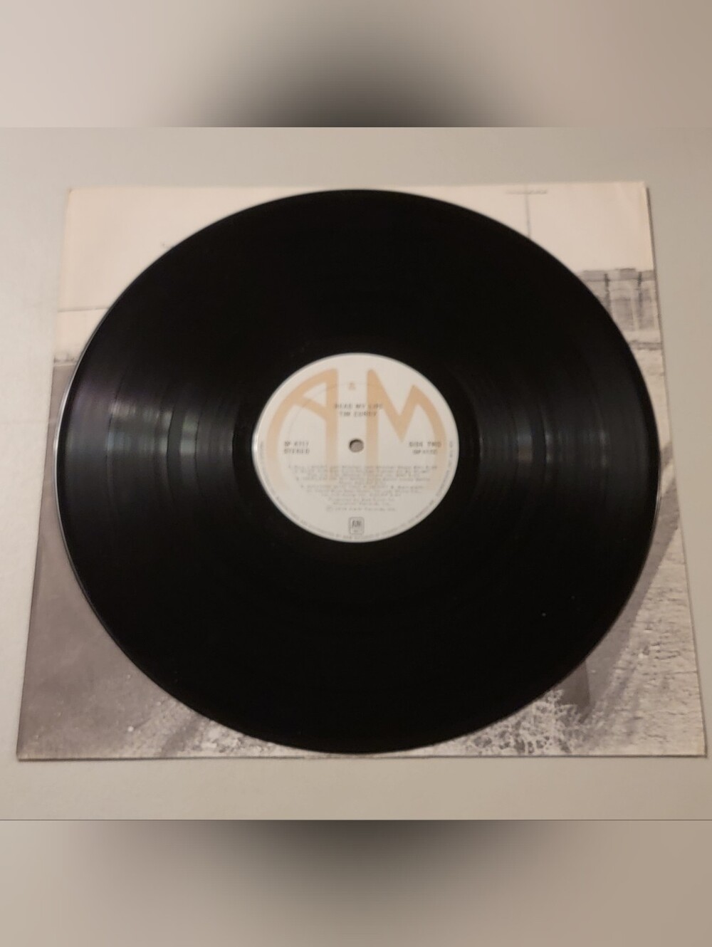 Tim Curry Read My Lips 33 RPM Record - Picture 12 of 14